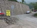 Giresun'un Çanakçı İlçesi Kuduz Karantinasına Alındı