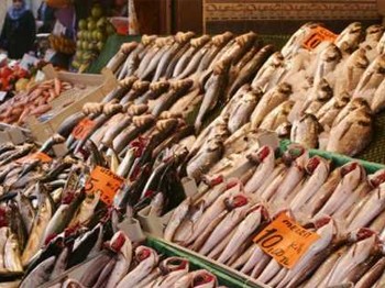 Kocaeli'de Balık Fiyatları