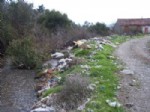 CEMAL ŞAHIN - Ordu Köylerinde Çöp Sorunu Büyüyor