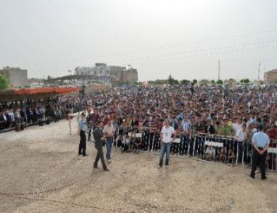 Suruç'ta Vatandaşlar 'kardeşlik Konseri' Nde Buluştu