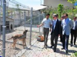 SOKAK HAYVANI - Başkan Uzun: “Hayvan Barınağı’nı Parka Çeviriyoruz”