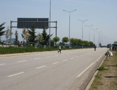 Giresun'da, Alt Geçit Yerine Yol Kullanılıyor