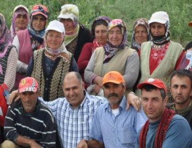 Kavaklıoğlu Bereketli Hasatlar Diledi