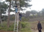 KARıNCALı - Orman Depoları Güvenlik Kameralarıyla İzleniyor