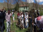 Pasinler Meslek Yüksek Okulu 400 Meyve Fidanı, 1500 Sarıçam Dikti