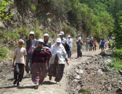 Sağlık İçin Dere Tepe Yürüdüler