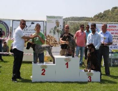 Altınoluk’ta Köpek Irkları Güzellik Yarışması Yapıldı