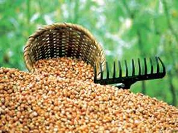 Fındık ve Fındık Mamulleri Fiyatları