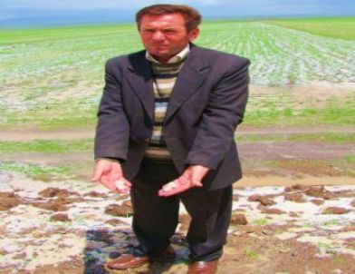 Kars'ta Dolu Tarım Arazilerini Vurdu