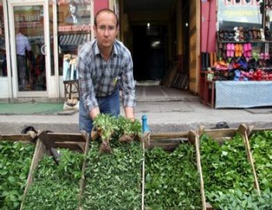 Van’da Sebze Fide Satışları