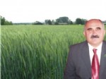 Yağışlar Uzunköprü Çiftçisini Sevindirdi
