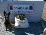 Diyarbakır’da Esrar Operasyonu