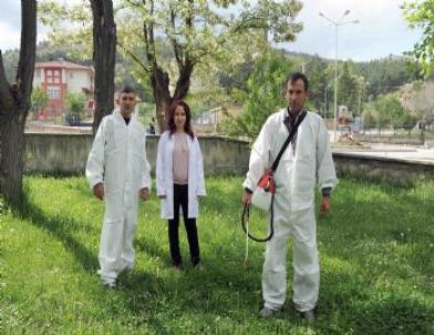 Belediye Keneye Karşı İlaçlama Çalışması Başlattı