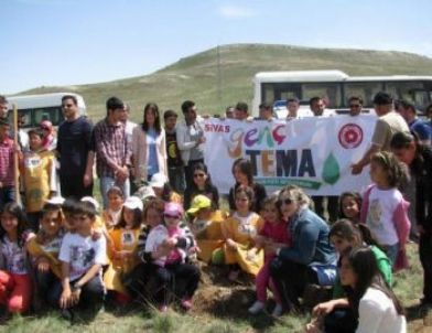 TEMA Sivas’ı Yeşillendirmek İçin Çalışıyor