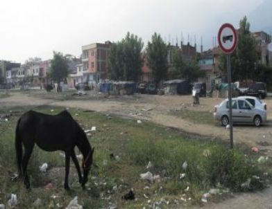 Zabıtadan ‘Konar- Göçer’ Operasyonu