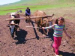 Çiftçi İlkel Metota Döndü
