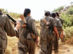 İşte araştırmadan çıkan çarpıcı sonuçlar
