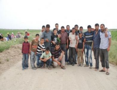 Silifkeli Çiftçilerin Yol İsyanı