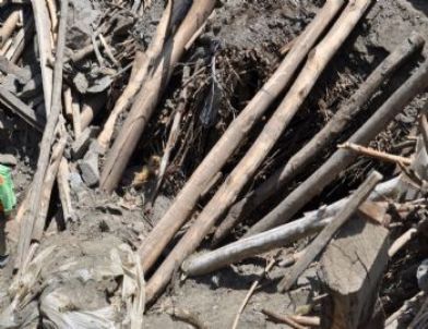 Hizan’da Ahırın Çökmesi Sonucu 180 Küçükbaş Hayvan Telef Oldu