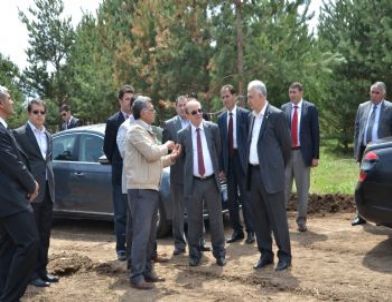 Atatürk Üniversitesi Yanan Ormanlık Alanı Ağaçlandırıyor