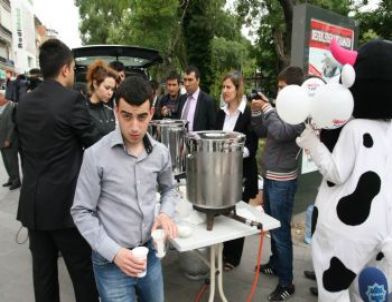 Dünya Süt Günü’nde Ücretsiz Soğuk ve Sıcak Süt Dağıtıldı