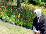 Hayrünnisa Gül, Botanik Bahçesini Ziyaret Etti