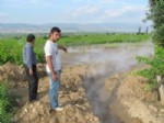MUSA USLAN - Jeotermal Su Fışkırdı Bağlar Kurudu