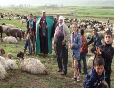 2 Bin 500 Liralık Maaşı Duyan Çobanlar Köye Geri Döndü