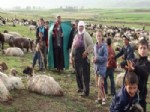 2 Bin 500 Liralık Maaşı Duyan Çobanlar Köye Geri Döndü