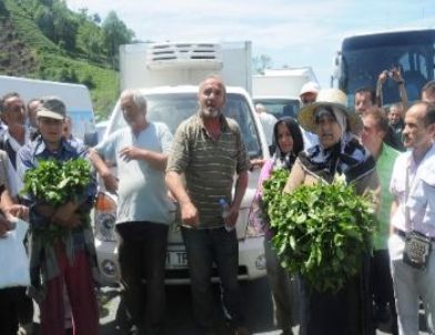 Karadeniz Sahil Yolu'nu Çayla Kapatan Üreticilere Müdahale