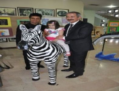 Atık Kağıtlar Sanata Dönüştü