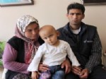 AYVALı - Beyinde Kitle Tümör Teşhisi Konulan 4 Yaşındaki Saadet'in Ailesi Çaresiz