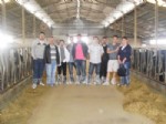 Biga Myo Büyük ve Küçükbaş Hayvan Yetiştiriciliği Programından Teknik Gezi