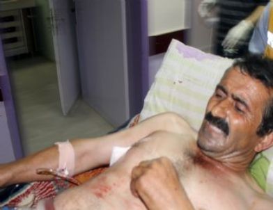 Kardeşler Arasında Silahlı Kavga: 3 Yaralı