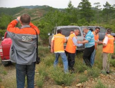 Muğla Ormanları Yeşil Bayrağa Kavuşuyor