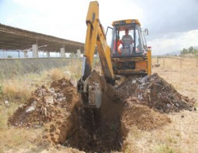 Nazilli’de 500 Kilo Kaçak ve Bozuk Et İmha Edildi