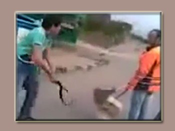 Oğlum Bak Git İsimli Videonun Kahramanı Açıklama Yaptı