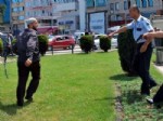 Ordu'da meydan muharebesi