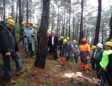 Ula’da Sürdürülebilir Orman Yönetimi Eğitimi