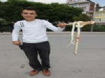 Yastık Altına Gizlenen Kıraç Yılanı Belediye Görevlisi Tarafından Çıkarıldı