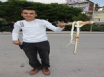 Yastık Altından Yılan Çıktı