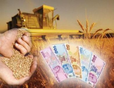 Samsun Çiftçisine 8.2 Milyon TL’lik Destek