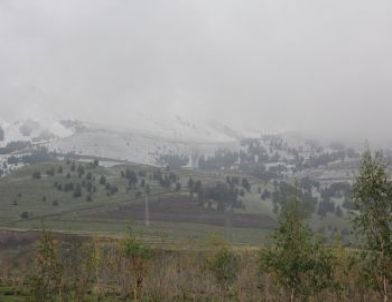 Palandöken Beyaz Örtüye Büründü