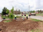 Sivas’ta Otomatik Sulama Sistemleri Yapımı Sürüyor