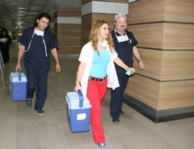 Vasiyeti 3 Hayat Kurtaracak