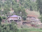 RAMAZAN ÇELIK - PKK Tarafından Kaçırıldığı İddia Edilen 10 Kişi Evine Döndü