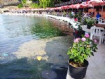 Denizdeki Kirliliğe 'Çiçek'li Makyaj