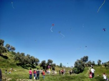 Gölbaşı Uçurtma Şenliği Yapıldı - Ankara