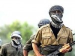 ÇETIN KıLıNÇ - Operasyonda, 2'si Yaralı 3 Terörist Yakalandı