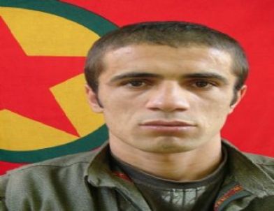 İşte Ölü Ele Geçirilen Güroymak Bombacısı